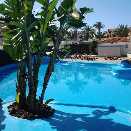 Paraiso Royal Dany & Pina Playa de las Americas  Exterior photo